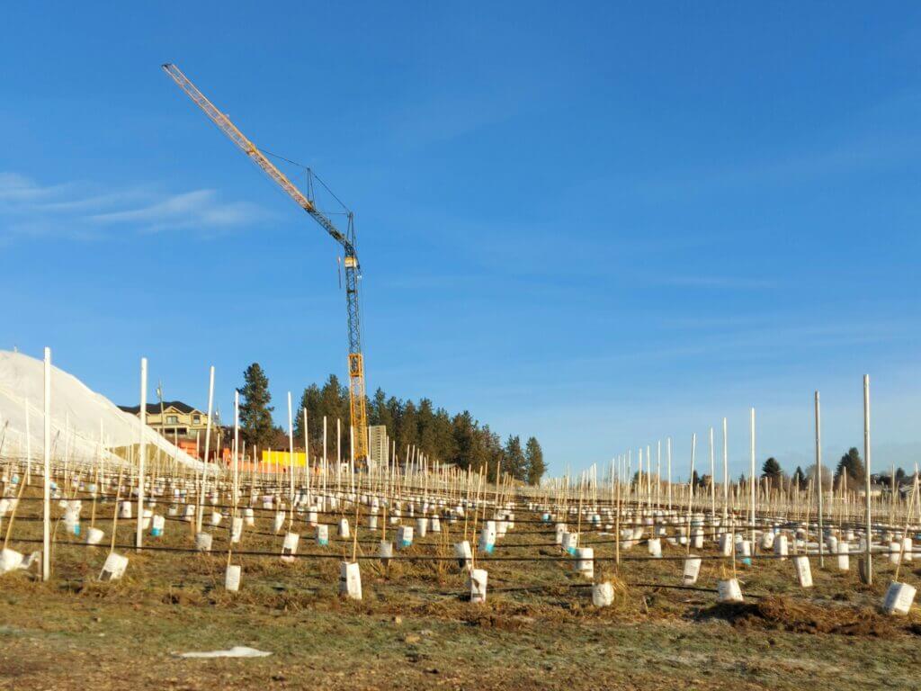 TerraLux Construction (1)