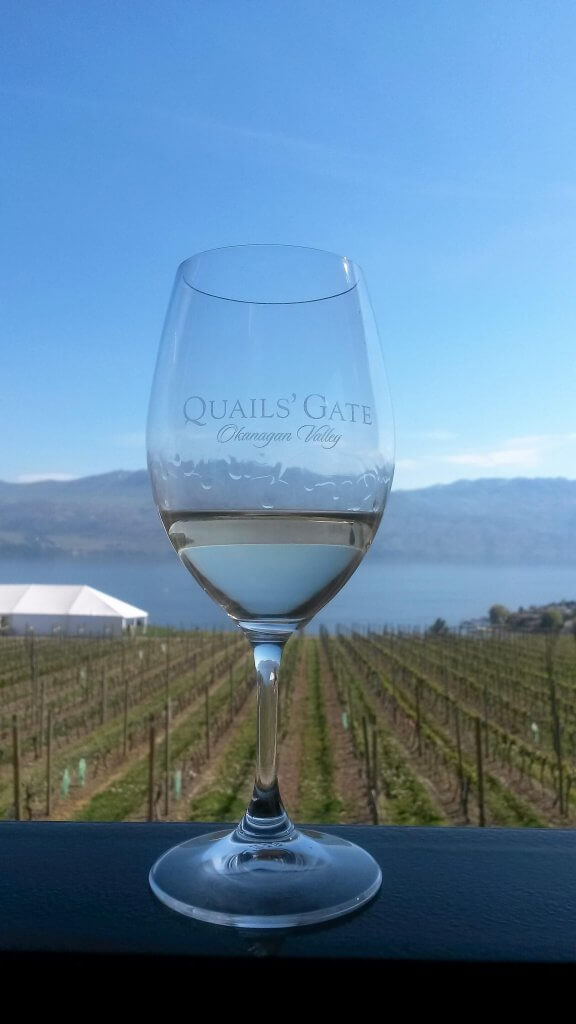 A wine glass with a spring vinyard in West Kelowna